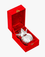 Silver kalash set inside red velvet gift box packaging showing premium presentation for prayer items