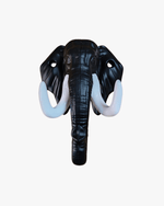 Close-up of elephant head wall hook with white tusks used as key holders