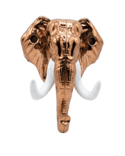 A direct front view of the copper-toned metallic elephant head hanger featuring white upward-curving tusks, isolated on a black background